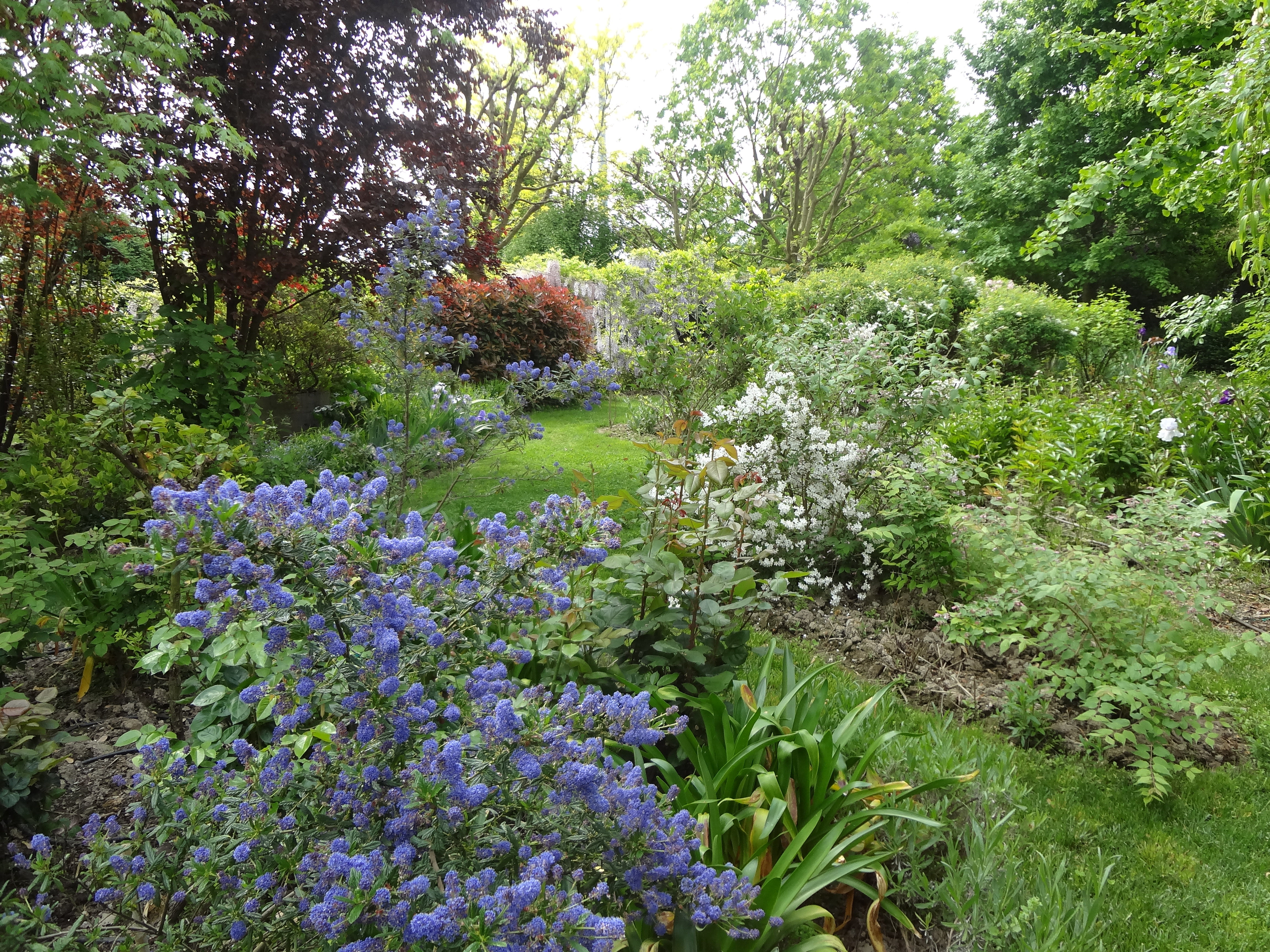 Manutenzione giardino a Campazzo di Nonantola