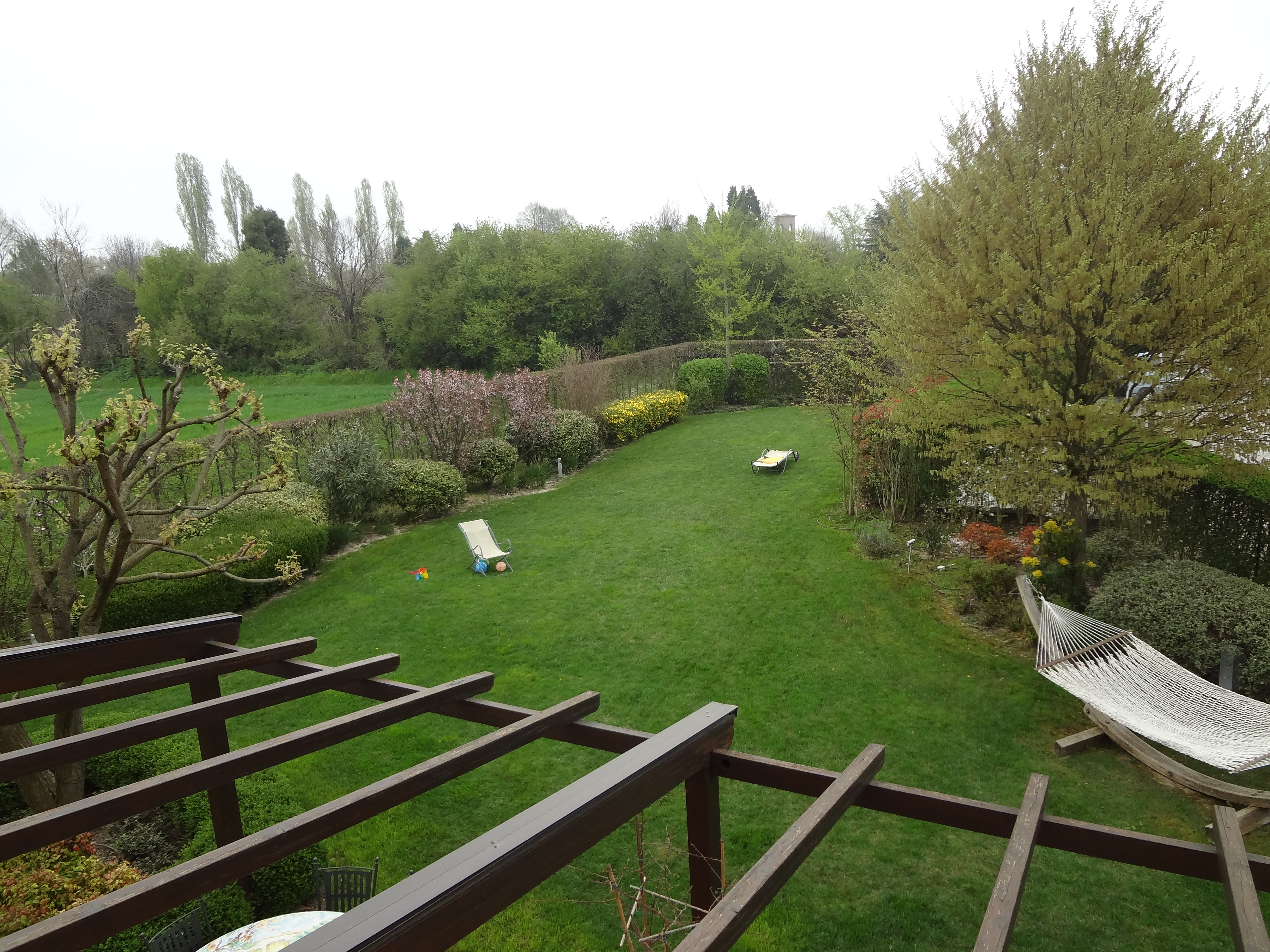 Manutenzione giardino a Cognento