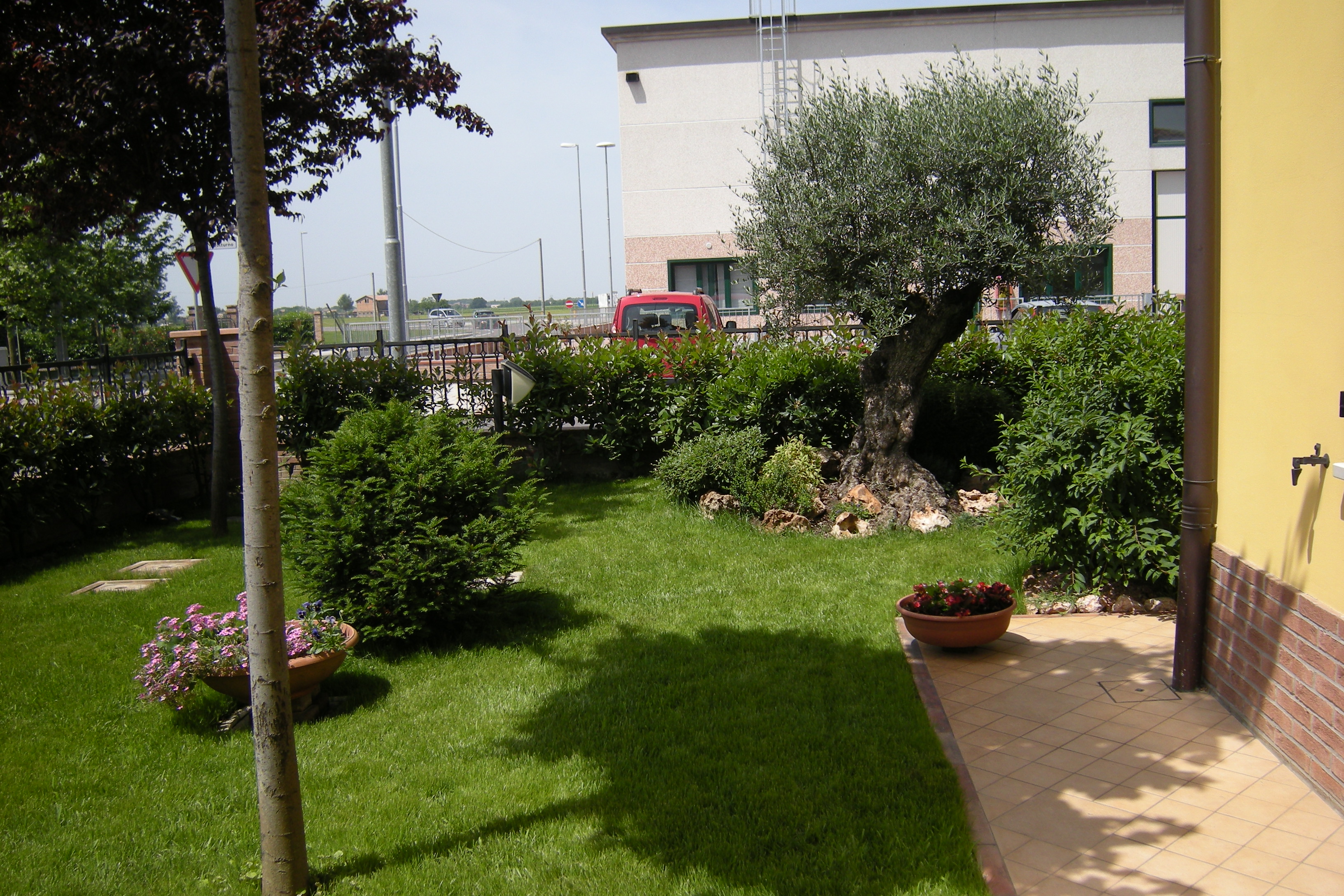 Semina prato  e manutenzione giardino a Bomporto