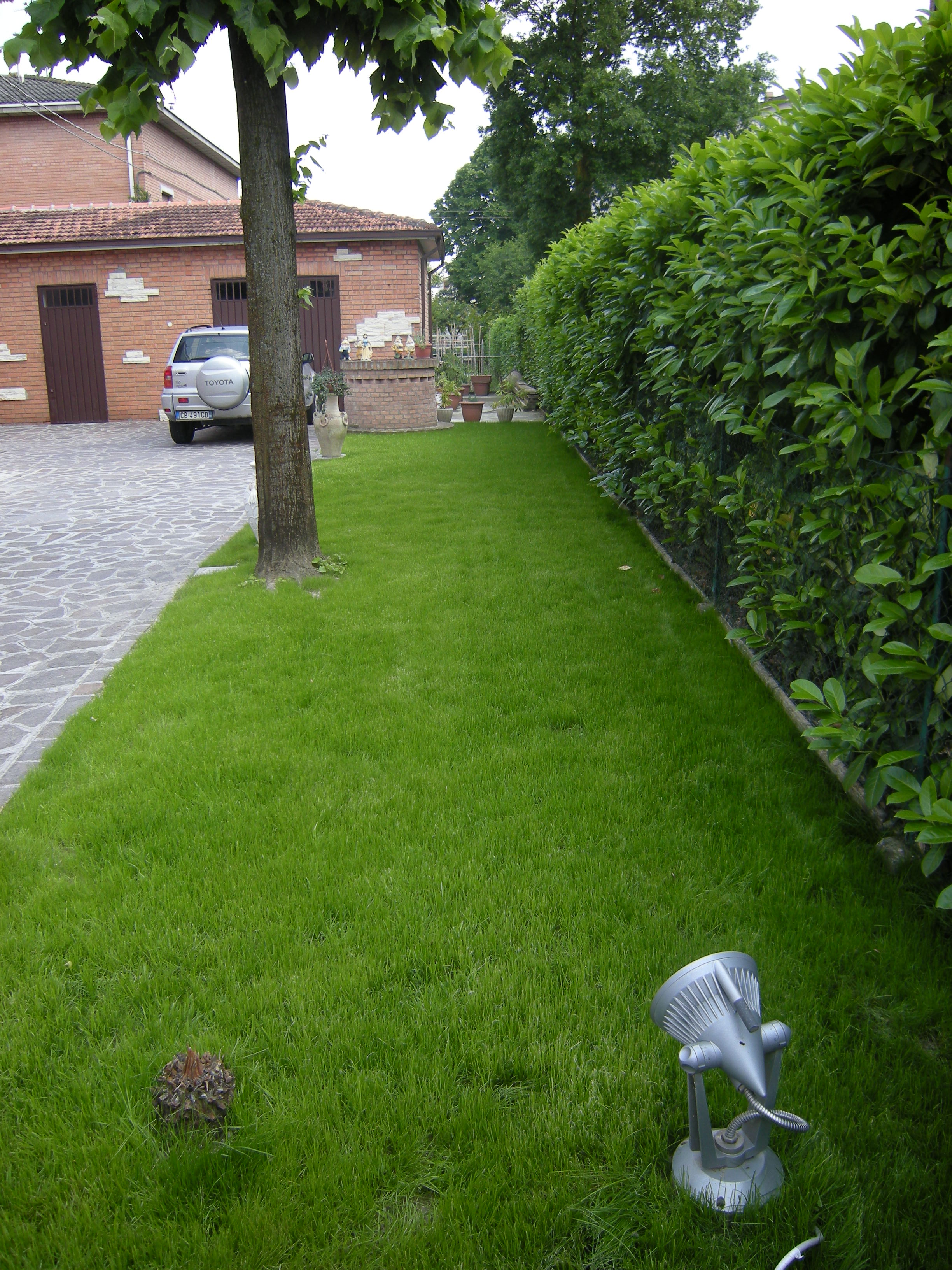 Semina prato a Sorbara