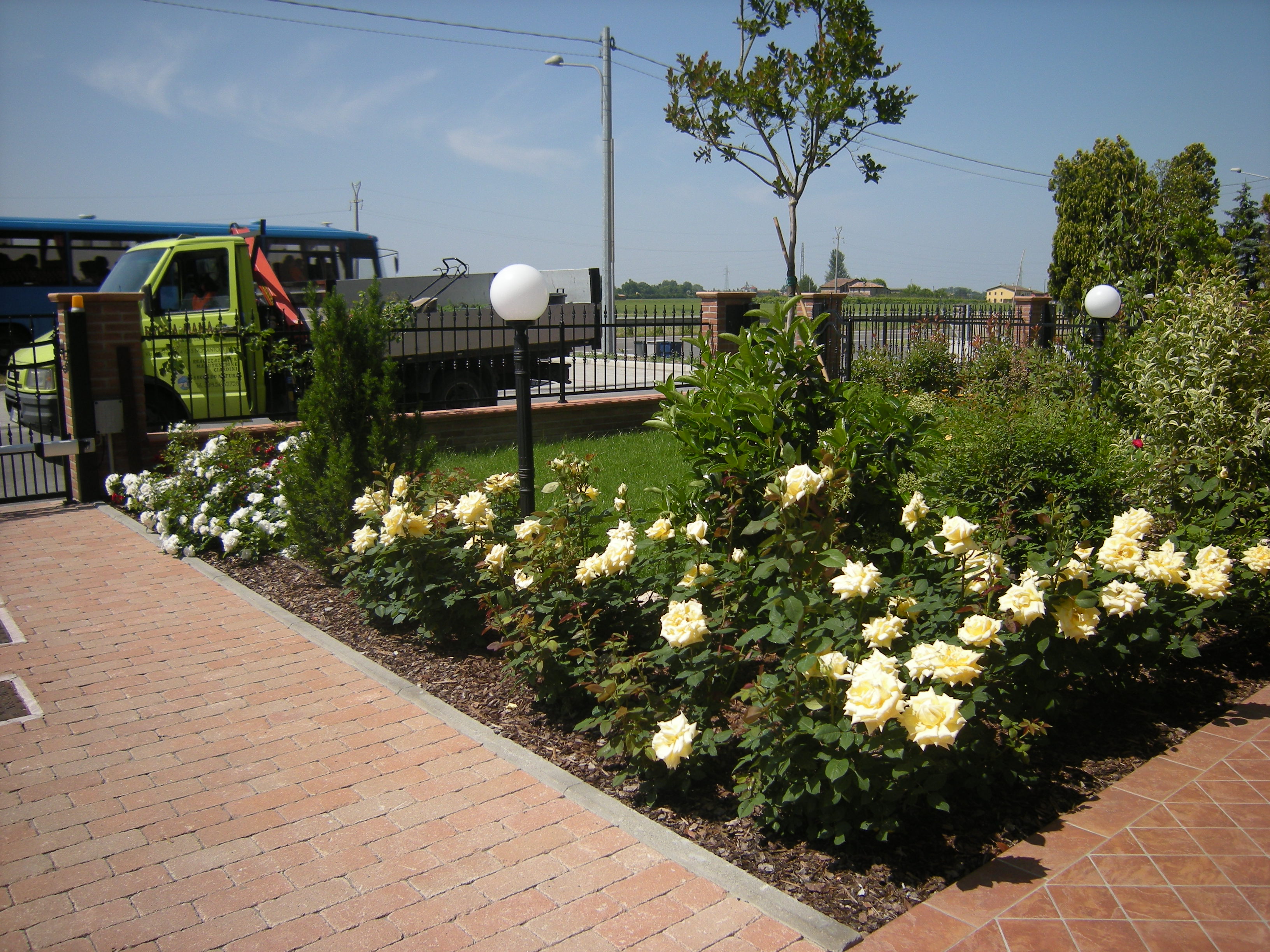 Retro aiuola con fioritura rosai