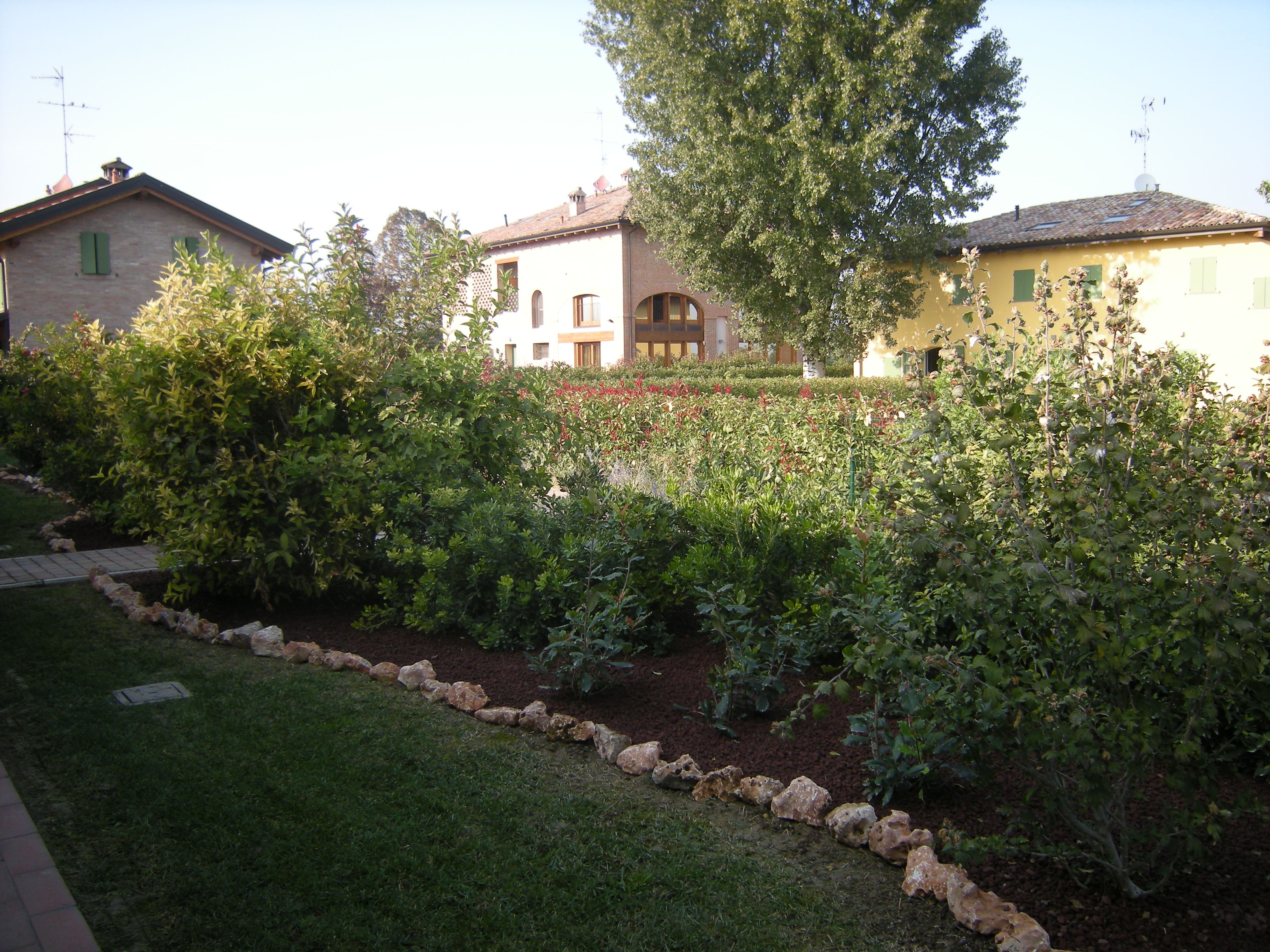 Realizzazione aiuola di fitodepurazione a San Vito