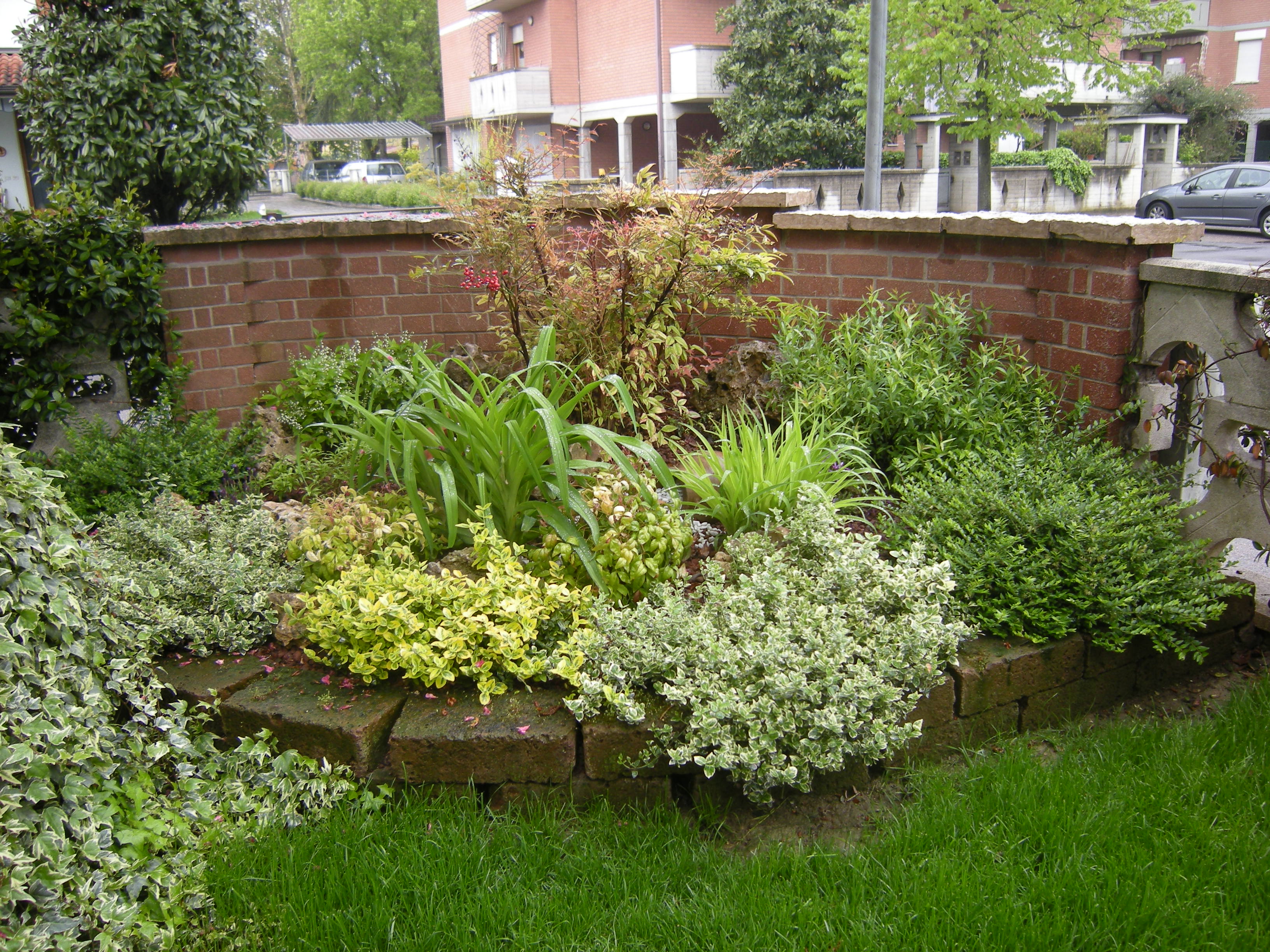 Realizzazione aiuola a Sorbara