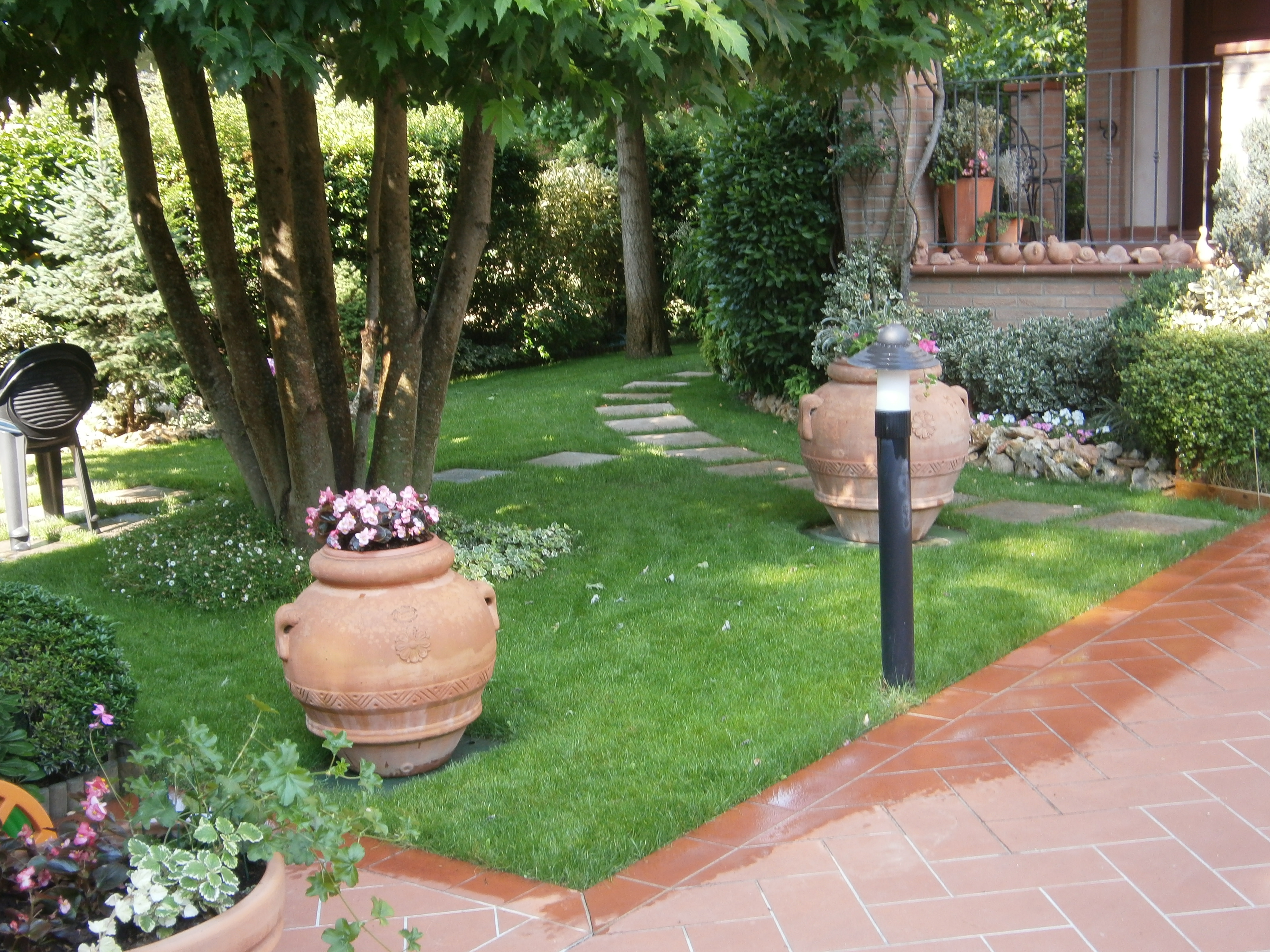 Semina prato  e manutenzione giardino a Soliera