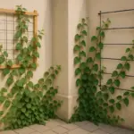 Progettazione di angoli con piante rampicanti: Griglie e supporti che evitano danni alle pareti