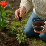Fondi di caffè alle piante: la scienza dice sì, ma non come lo fai tu