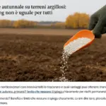 Concimazione autunnale su terreni argillosi: perché il timing non è uguale per tutti