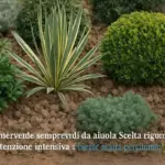 Piante sempreverdi da aiuola in terreno argilloso: quali reggono davvero