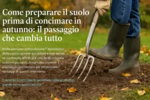 Come preparare il suolo prima di concimare in autunno: il passaggio che cambia tutto