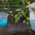 Come trattare la peronospora con il rame: dosi e frequenza che molti sbagliano