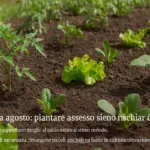 Orto a luglio e agosto: quali ortaggi piantare adesso senza rischiare fallimenti