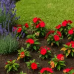 Abbinare piante ornamentali al sole diretto: l’errore di colore che rovina l’aiuola