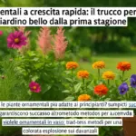 Ornamentali a crescita rapida: il trucco per un giardino bello dalla prima stagione