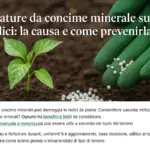 Bruciature da concime minerale sulle radici: la causa e come prevenirla